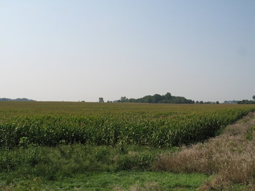 Property photo 5 - 192.5+/- Acres Offered in 3 Tracts